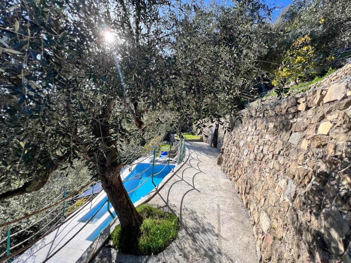 Villa Di Campagna Con Vista Mare 5 Camere Da Letto Pampara Exterior photo
